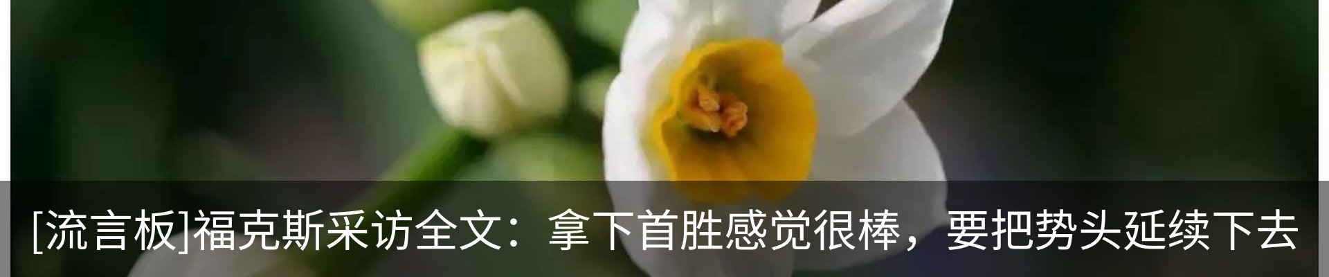 新闻动态